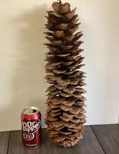 X-Large 15” Tall 4-5” Wide Sugar Pine Cone!! California for sale  Shipping to South Africa