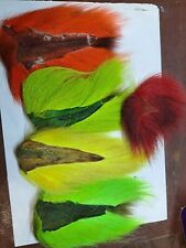 Mixed dyed buck for sale  WORKINGTON