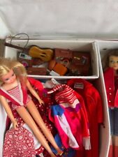 Skipper schwester barbie gebraucht kaufen  Detm.-Heiligenkrchn.,-Remminghsn.