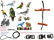 Pettorina pappagalli verde usato  Monte Di Procida
