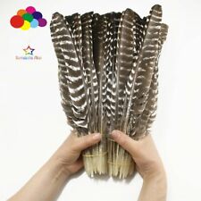 100pcs natural plume for sale  Shipping to Ireland