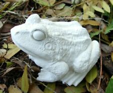 Latex frog mold for sale  West Chicago