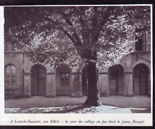 1949 lons saunier d'occasion  Les Sables-d'Olonne