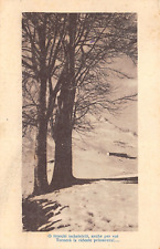 Al19 13b cartolina usato  Lugo