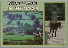 Views widecombe moor for sale  Shipping to Ireland