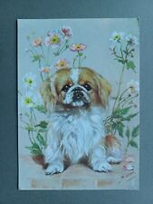 C1960s pekingese dog for sale  KING'S LYNN