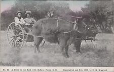 Pierre buffalo carriage d'occasion  Expédié en Belgium