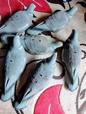 Decoy pigeons for sale  ELLESMERE