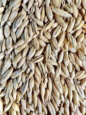 Whole oats 25kg for sale  MAGHERAFELT