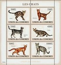 Cats stamp sokoke for sale  Round Top