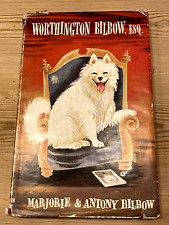 Rare samoyed dog for sale  WARRINGTON