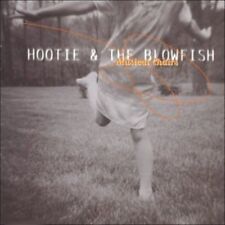 Hootie the blowfish gebraucht kaufen  Deutschland
