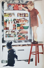 PRINT AD 1947 Kelvinator Moist Master Refrigerator Freezer Vintage Boy Puppy Dog for sale  Shipping to South Africa