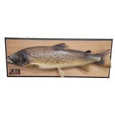 Vtg brown trout for sale  Bonney Lake