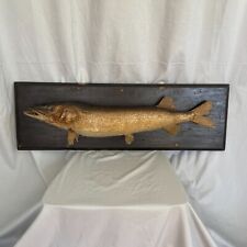 Vintage taxidermy mounted for sale  Cleveland