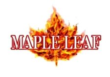 Aeg maple leaf for sale  BOOTLE