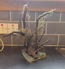 Fish tank tree for sale  INVERNESS