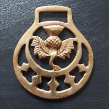 Scottish thistle ornamental for sale  DRIFFIELD