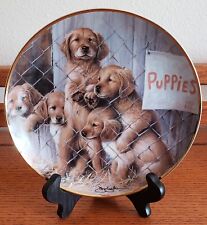 Golden retriever plate for sale  Yelm
