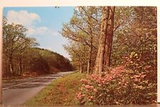 Carolina del Norte Carolina del Norte Blue Ridge Parkway Azaleas Bloom Postal Antigua Vintage Piezas de tarjeta segunda mano  Embacar hacia Spain