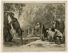 Antique Master Print-LANDSCAPE-GOAT-ANIMAL-Swanevelt-ca. 1635 for sale  Shipping to South Africa