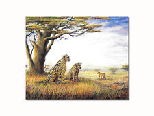 African savannah cheetahs for sale  Springdale