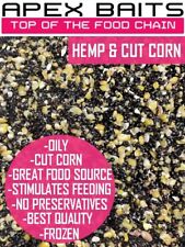 Cooked hemp seed for sale  ATHERSTONE