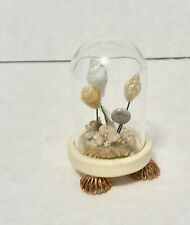 Linda decoração de vidro cúpula concha casa de bonecas miniatura 2 em Vickie Vetting comprar usado  Enviando para Brazil