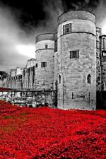 Tower london poppy for sale  READING