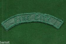 VINTAGE GIRL SCOUT TOWN STRIP - PINE CITY   for sale  Shipping to South Africa