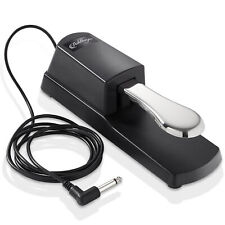 Sustain foot pedal for sale  USA