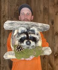 Beautiful raccoon shoulder for sale  Port Matilda