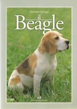 Beagle massimo scheggi usato  Monza