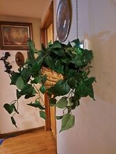 Artificial hanging plant for sale  Etters