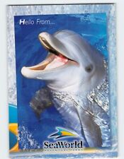 Postcard dolphin hello for sale  Stevens Point