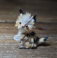 Fur mini cat for sale  Avondale