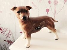 Staffordshire bull terrier for sale  BEXHILL-ON-SEA