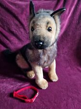 German shepard pup for sale  NOTTINGHAM