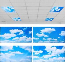 Pcs blue sky for sale  Hendersonville