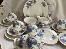 21 Piece Royal Vale Bone China Tea Set, Pattern 7513, Blue Cornflowers for sale  Shipping to South Africa