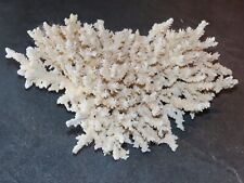Grand corail blanc d'occasion  Ciry-le-Noble