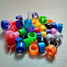 100pcs bird rings for sale  Shipping to Ireland