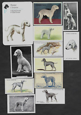 Different vintage bedlington for sale  Shipping to Ireland