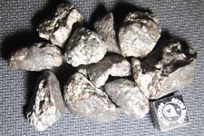 Nwa 869 chondrite for sale  Rumson