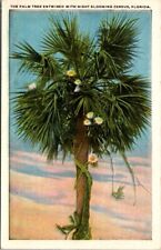 PALM TREE ENTWINED WITH NIGHT BLOOMING CEREUS Florida FL Vintage postcard for sale  Shipping to South Africa