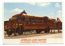 African lion safari for sale  North Haven