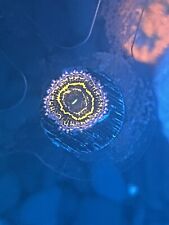 Stratosphere zoa single for sale  Tampa