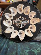 Harley davidson oyster for sale  Wasilla