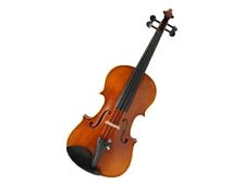 Violino per studenti usato  Olevano Romano