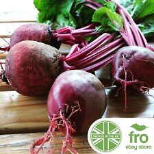 Organic beetroot non for sale  MANCHESTER